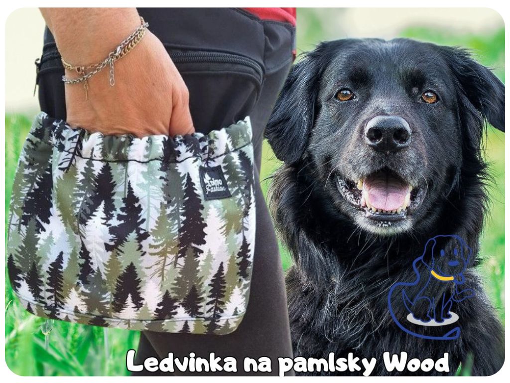 Ledvinka na pamlsky Wood